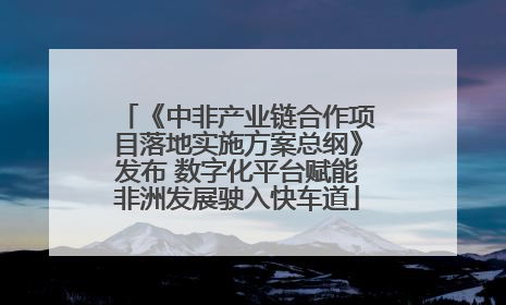 《中非产业链合作项目落地实施方案总纲》发布 数字化平台赋能非洲发展驶入快车道