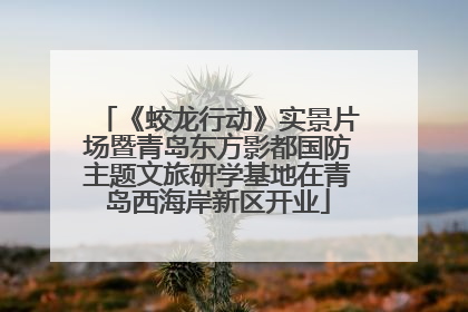 《蛟龙行动》实景片场暨青岛东方影都国防主题文旅研学基地在青岛西海岸新区开业