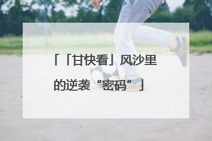 「甘快看」风沙里的逆袭“密码”