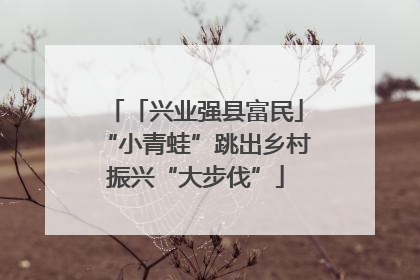 「兴业强县富民」“小青蛙”跳出乡村振兴“大步伐”