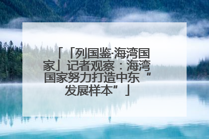 「列国鉴·海湾国家」记者观察：海湾国家努力打造中东“发展样本”