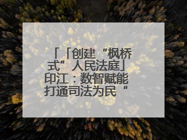「创建“枫桥式”人民法庭」印江：数智赋能打通司法为民“最后一公里”