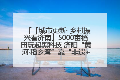 「城市更新· 乡村振兴看济南」5000亩稻田玩起黑科技 济阳“黄河·稻乡湾”靠“非遗+露营”火出圈