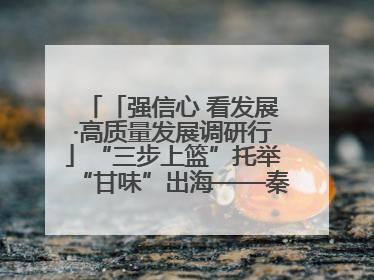 「强信心 看发展·高质量发展调研行」“三步上篮”托举“甘味”出海——秦州大樱桃高质量发展动作分解