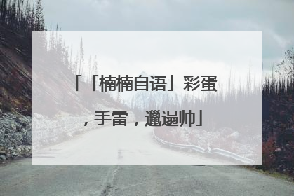 「楠楠自语」彩蛋，手雷，邋遢帅
