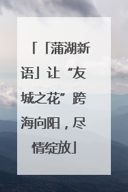 「蒲湖新语」让“友城之花”跨海向阳，尽情绽放
