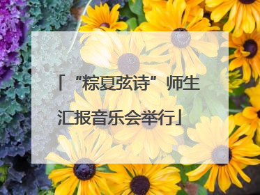 “粽夏弦诗”师生汇报音乐会举行