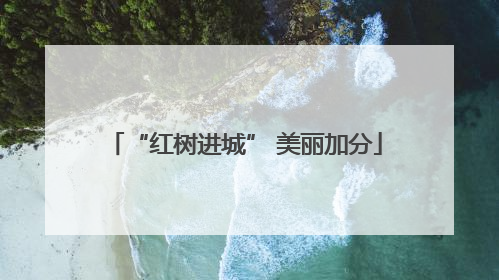 “红树进城” 美丽加分