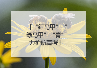 “红马甲”“绿马甲”“青”力护航高考
