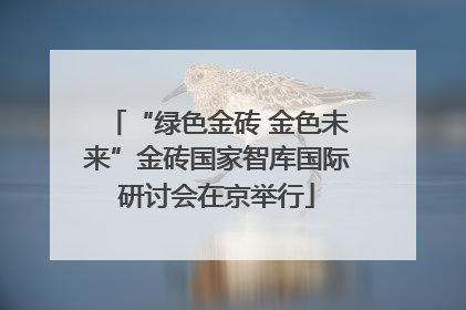 “绿色金砖 金色未来”金砖国家智库国际研讨会在京举行