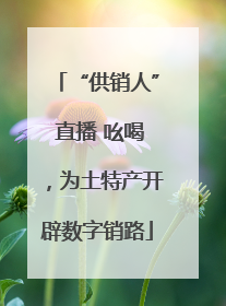 “供销人” 直播 吆喝，为土特产开辟数字销路