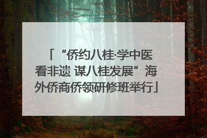 “侨约八桂·学中医 看非遗 谋八桂发展”海外侨商侨领研修班举行