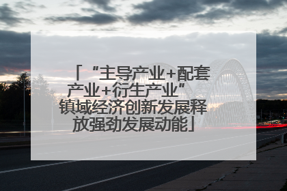 “主导产业+配套产业+衍生产业” 镇域经济创新发展释放强劲发展动能