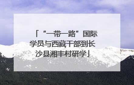 “一带一路”国际学员与西藏干部到长沙县湘丰村研学