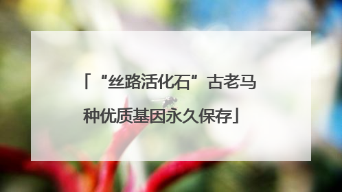 “丝路活化石”古老马种优质基因永久保存