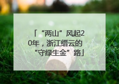 “两山”风起20年，浙江缙云的“守绿生金”路