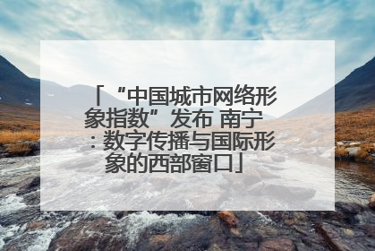 “中国城市网络形象指数”发布 南宁：数字传播与国际形象的西部窗口