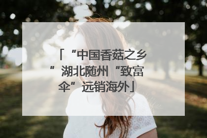 “中国香菇之乡”湖北随州“致富伞”远销海外