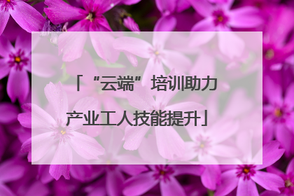“云端”培训助力产业工人技能提升
