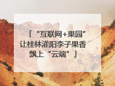 “互联网+果园”让桂林灌阳李子果香飘上“云端”