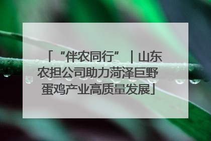 “伴农同行”｜山东农担公司助力菏泽巨野蛋鸡产业高质量发展