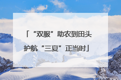 “双服”助农到田头 护航“三夏”正当时