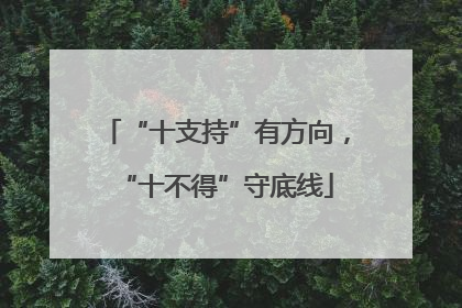 “十支持”有方向，“十不得”守底线
