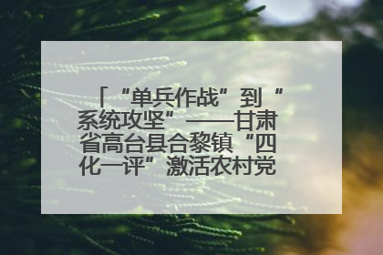 “单兵作战”到“系统攻坚”——甘肃省高台县合黎镇“四化一评”激活农村党员管理新引擎
