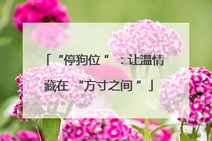 “停狗位 ”：让温情藏在 “方寸之间 ”