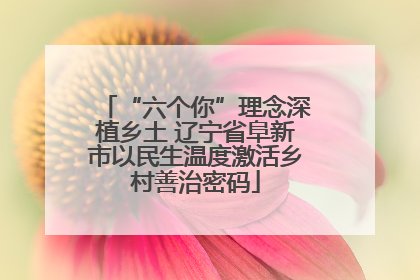 “六个你”理念深植乡土 辽宁省阜新市以民生温度激活乡村善治密码