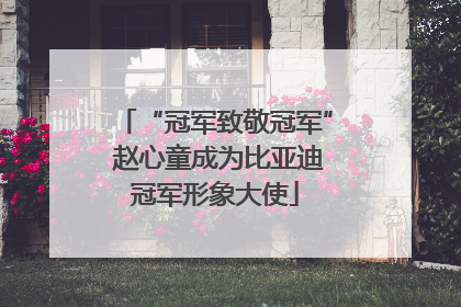 “冠军致敬冠军” 赵心童成为比亚迪冠军形象大使