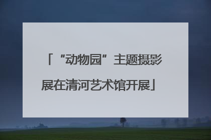 “动物园”主题摄影展在清河艺术馆开展