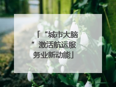 “城市大脑”激活航运服务业新动能