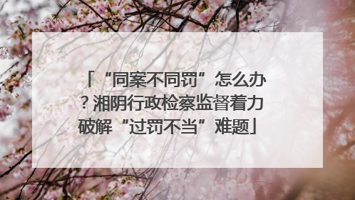 “同案不同罚”怎么办？湘阴行政检察监督着力破解“过罚不当”难题