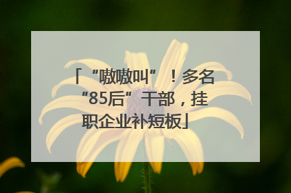 “嗷嗷叫”！多名“85后”干部，挂职企业补短板