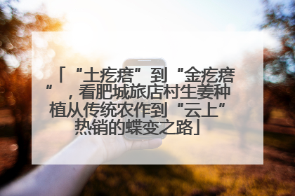 “土疙瘩”到“金疙瘩”，看肥城旅店村生姜种植从传统农作到“云上”热销的蝶变之路