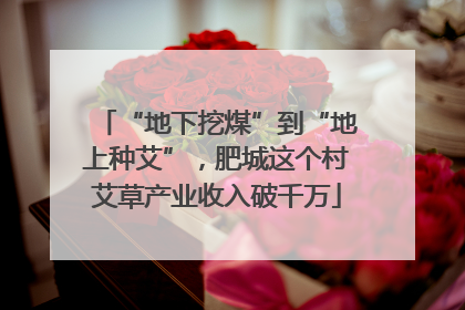 “地下挖煤”到“地上种艾”，肥城这个村艾草产业收入破千万