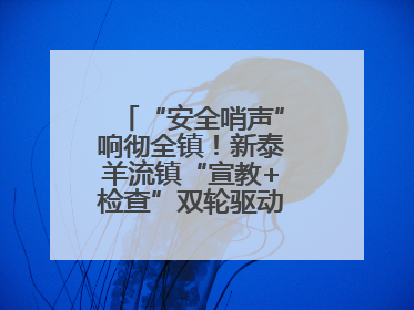 “安全哨声”响彻全镇！新泰羊流镇“宣教+检查”双轮驱动筑牢安全防线