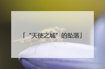 “天使之城”的坠落