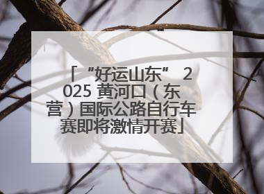 “好运山东” 2025 黄河口（东营）国际公路自行车赛即将激情开赛