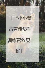 “小小禁毒宣传员”训练营效果好