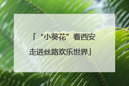 “小葵花”看西安走进丝路欢乐世界