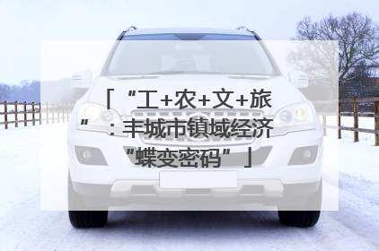 “工+农+文+旅”：丰城市镇域经济“蝶变密码”