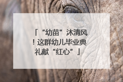 “幼苗”沐清风！这群幼儿毕业典礼献“红心”