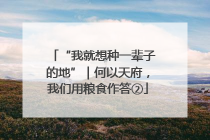 “我就想种一辈子的地”｜何以天府，我们用粮食作答②