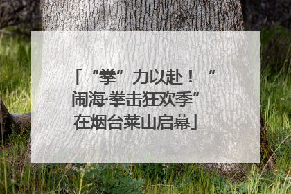 “拳”力以赴！“闹海·拳击狂欢季”在烟台莱山启幕