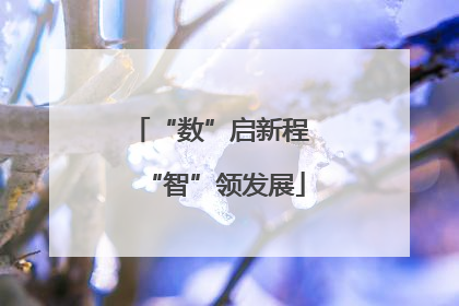 “数”启新程 “智”领发展