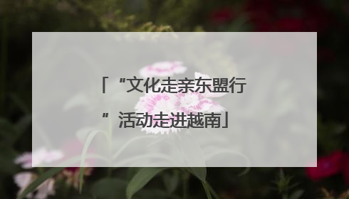 “文化走亲东盟行”活动走进越南