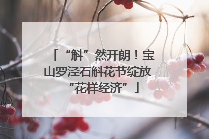 “斛”然开朗！宝山罗泾石斛花节绽放“花样经济”
