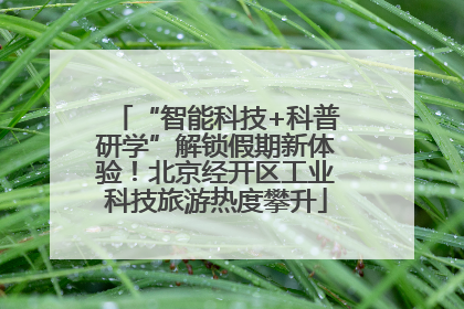 “智能科技+科普研学”解锁假期新体验！北京经开区工业科技旅游热度攀升